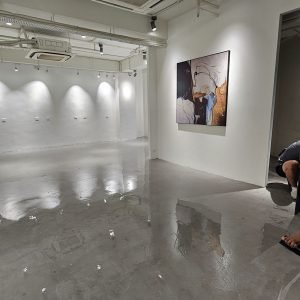EPOXY - 環氧樹脂自流平 - 環氧樹脂待乾